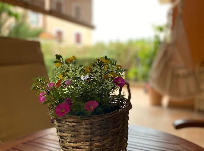 Rose-2025 Renovated Garden View *