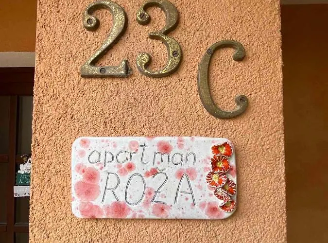 Rose-2025 Renovated Garden View